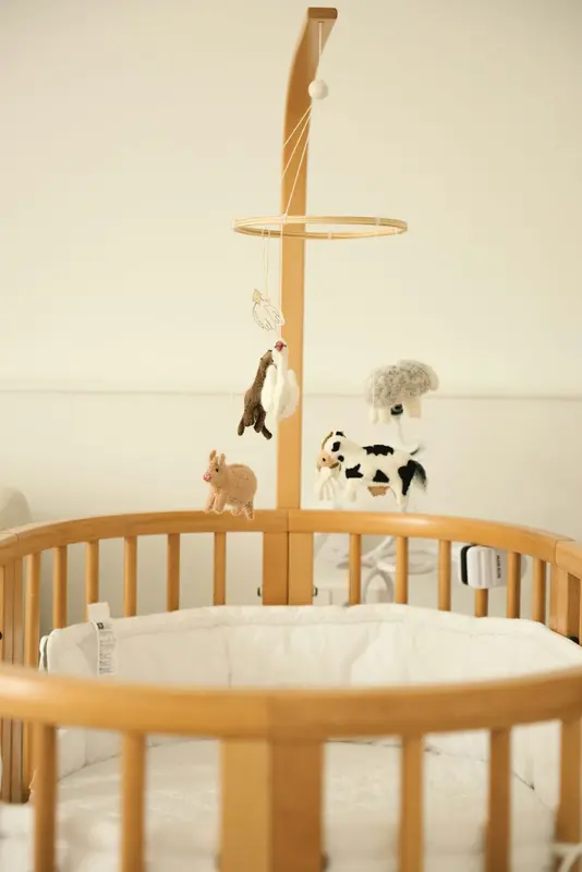 Sitter.Baby Premium Domain
